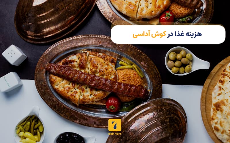 هزینه غذا در کوش آداسی
